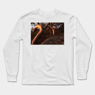 Glow Long Sleeve T-Shirt